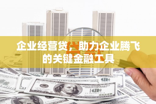 岗巴企业经营贷，助力企业腾飞的关键金融工具