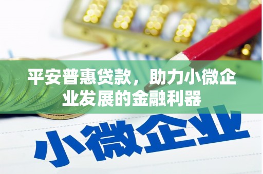 岗巴平安普惠贷款，助力小微企业发展的金融利器