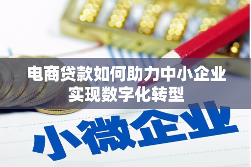 岗巴电商贷款如何助力中小企业实现数字化转型