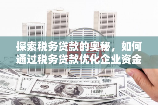 岗巴探索税务贷款的奥秘，如何通过税务贷款优化企业资金流