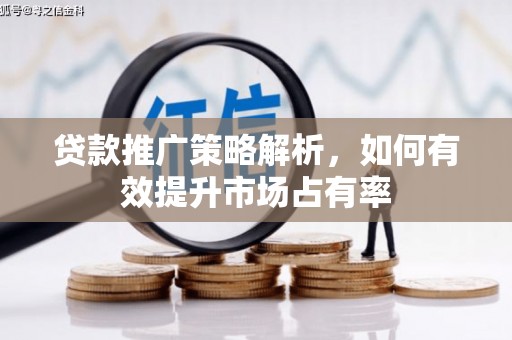 岗巴贷款推广策略解析，如何有效提升市场占有率