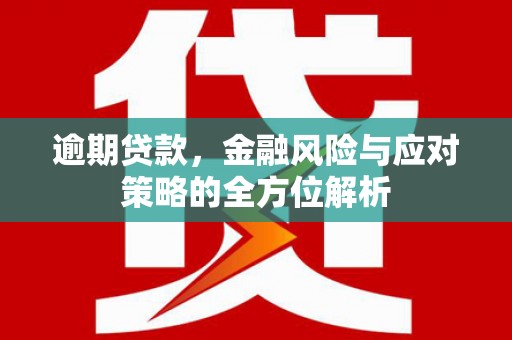 岗巴逾期贷款，金融风险与应对策略的全方位解析