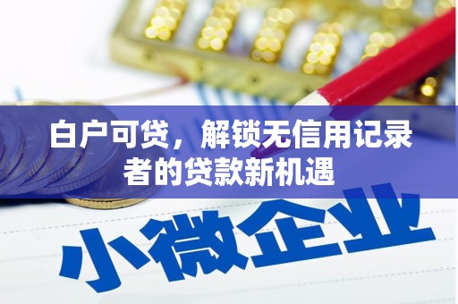 岗巴白户可贷，解锁无信用记录者的贷款新机遇