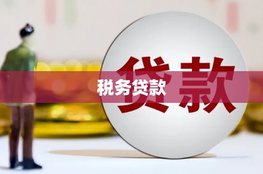岗巴税务贷款