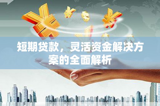 岗巴短期贷款，灵活资金解决方案的全面解析