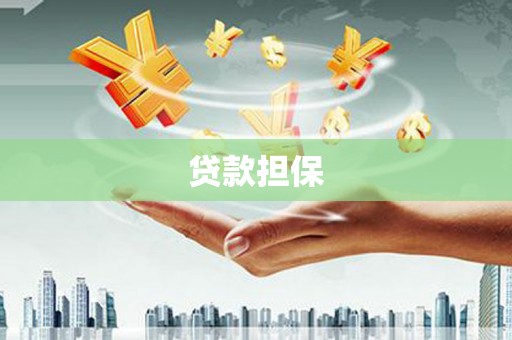 岗巴贷款担保