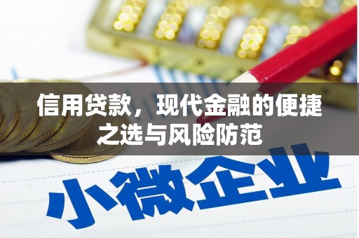 岗巴信用贷款，现代金融的便捷之选与风险防范
