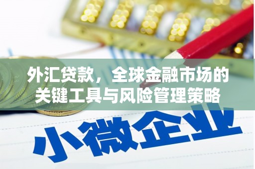 岗巴外汇贷款，全球金融市场的关键工具与风险管理策略