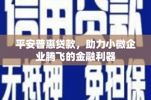 岗巴平安普惠贷款，助力小微企业腾飞的金融利器