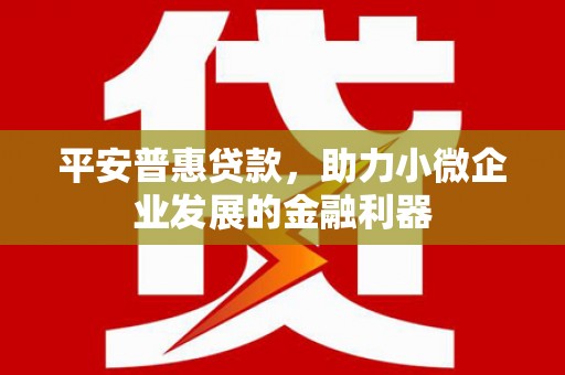 岗巴平安普惠贷款，助力小微企业发展的金融利器