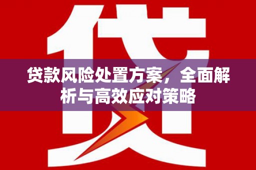 岗巴贷款风险处置方案，全面解析与高效应对策略