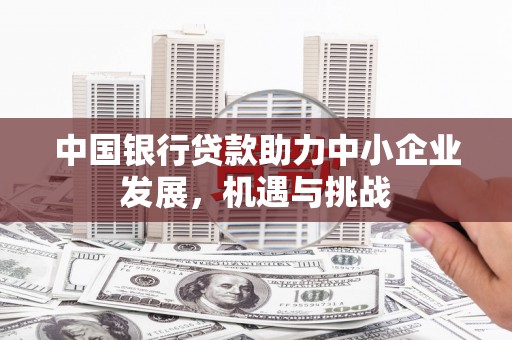 岗巴中国银行贷款助力中小企业发展，机遇与挑战