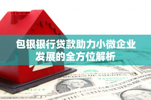 岗巴包银银行贷款助力小微企业发展的全方位解析