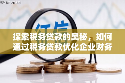岗巴探索税务贷款的奥秘，如何通过税务贷款优化企业财务