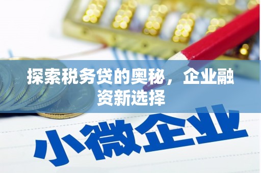 岗巴探索税务贷的奥秘，企业融资新选择