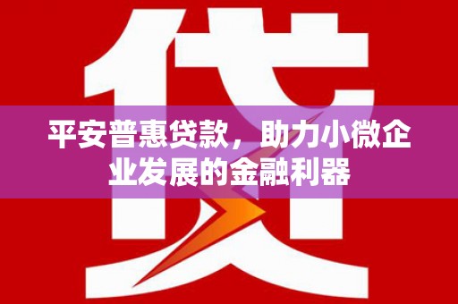 岗巴平安普惠贷款，助力小微企业发展的金融利器