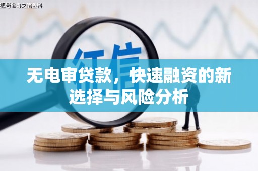 岗巴无电审贷款，快速融资的新选择与风险分析