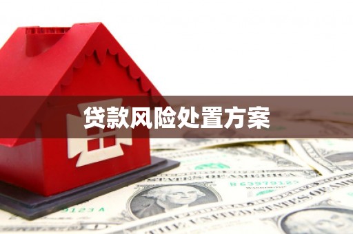 岗巴贷款风险处置方案