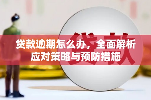 岗巴贷款逾期怎么办，全面解析应对策略与预防措施