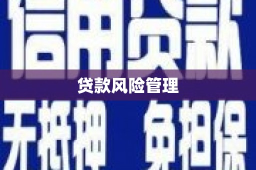 岗巴贷款风险管理