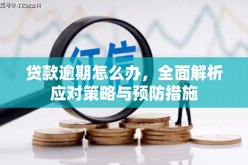 岗巴贷款逾期怎么办，全面解析应对策略与预防措施