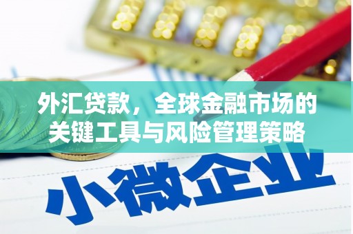 岗巴外汇贷款，全球金融市场的关键工具与风险管理策略