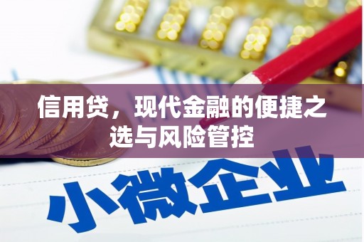 岗巴信用贷，现代金融的便捷之选与风险管控
