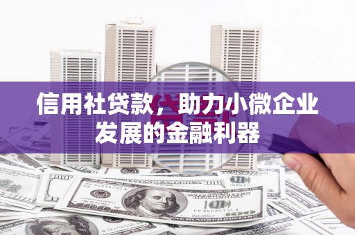 岗巴信用社贷款，助力小微企业发展的金融利器