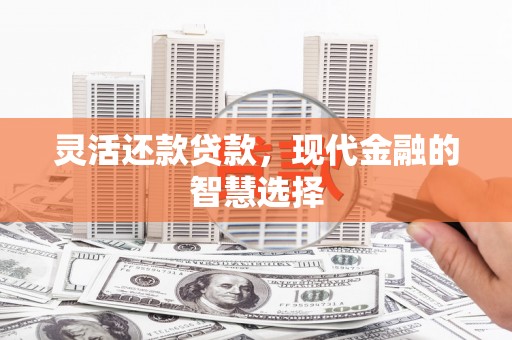 岗巴灵活还款贷款，现代金融的智慧选择