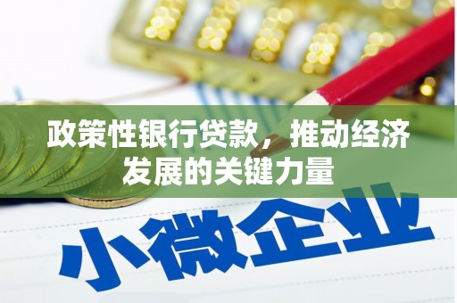 岗巴政策性银行贷款，推动经济发展的关键力量