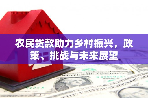 岗巴农民贷款助力乡村振兴，政策、挑战与未来展望