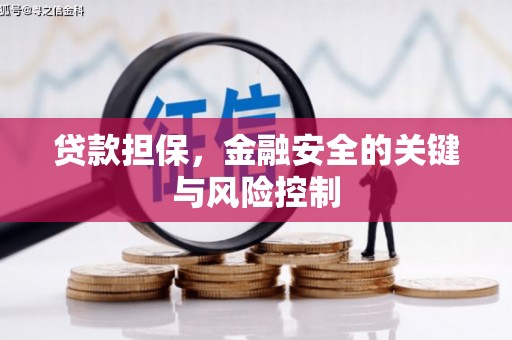 岗巴贷款担保，金融安全的关键与风险控制