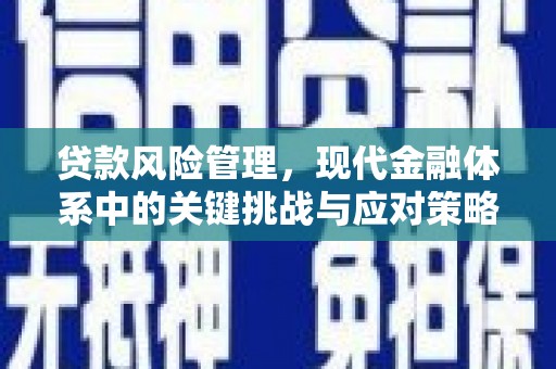 岗巴贷款风险管理，现代金融体系中的关键挑战与应对策略