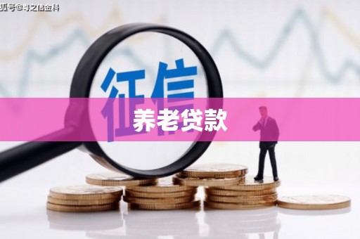 岗巴养老贷款
