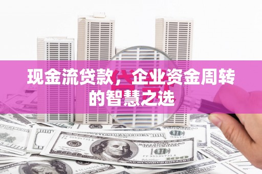 岗巴现金流贷款，企业资金周转的智慧之选