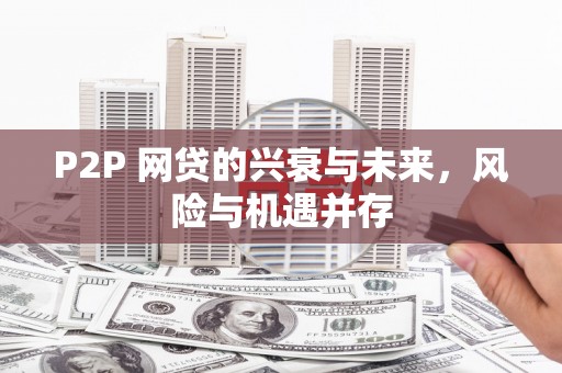 岗巴P2P 网贷的兴衰与未来，风险与机遇并存
